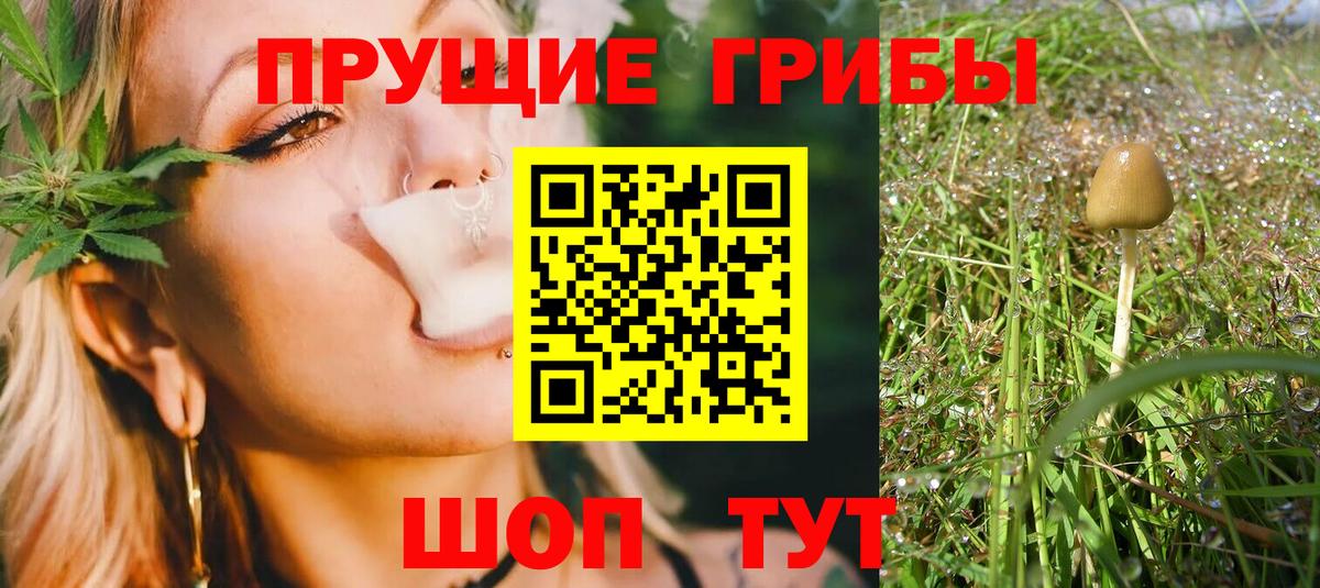 Чита  Псилоцибиновые грибы Magic Shrooms  Вход с VPN 