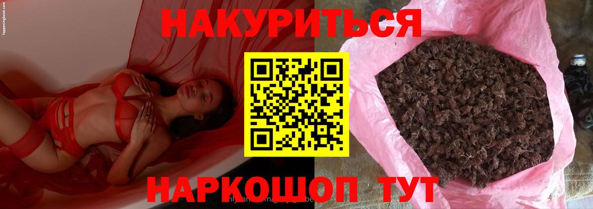 Чита  Бошки Шишки планчик  Вход с VPN  Канабис гибрид  Марихуана гибрид 